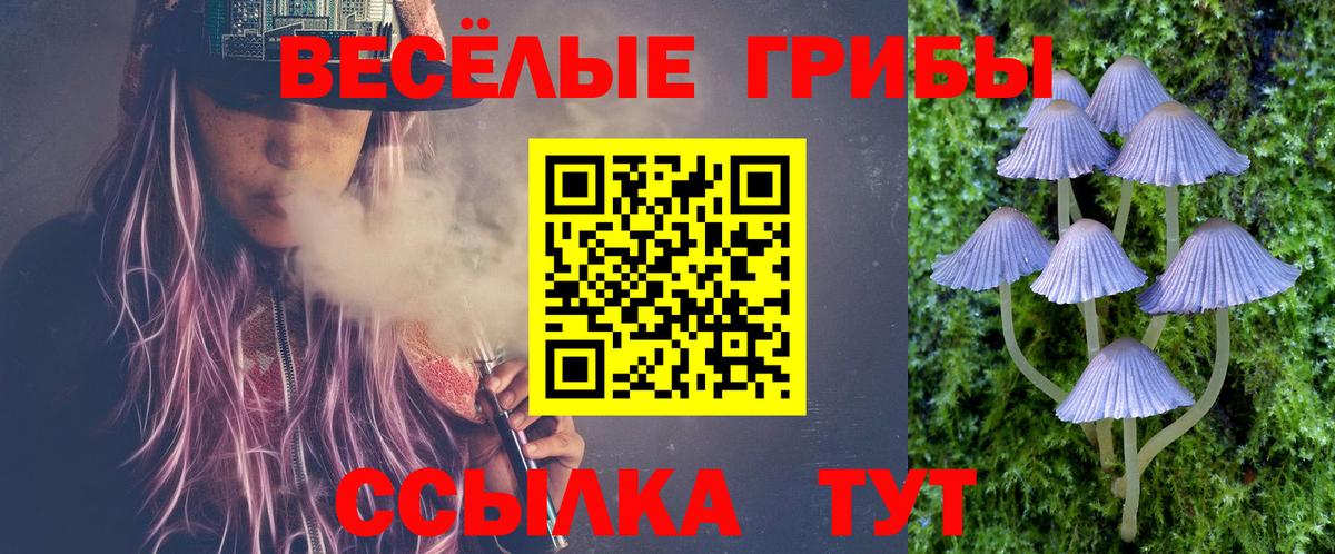 Боровичи  Псилоцибиновые грибы Cubensis  Галлюциногенные грибы Psilocybine cubensis  Вход с VPN 
