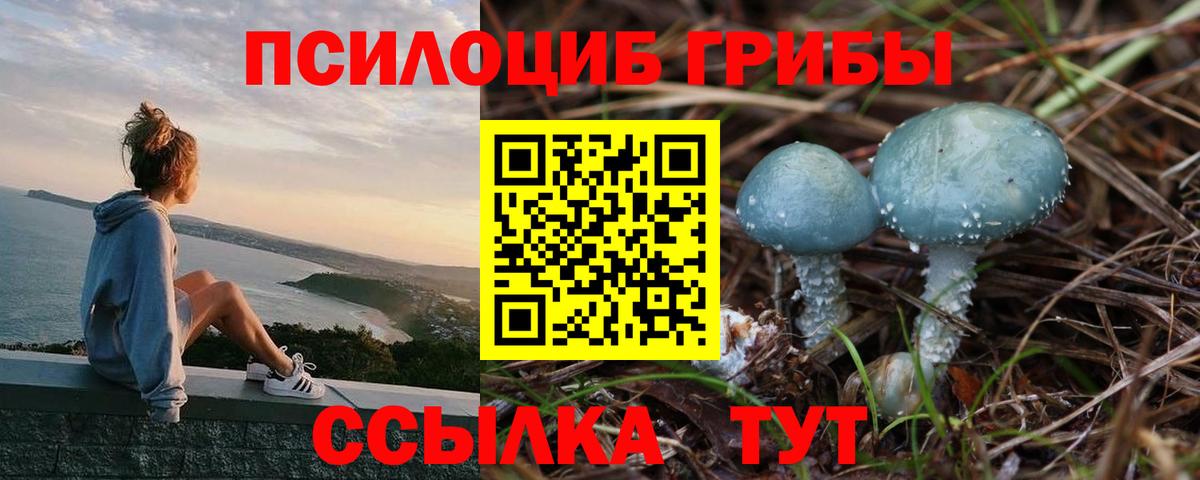 Псилоцибиновые грибы прущие грибы Боровичи